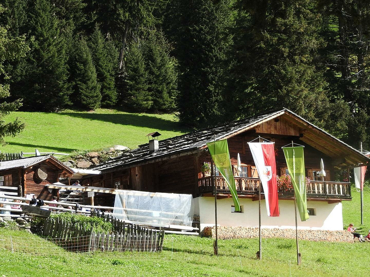 Trek Safari Kitzbühel - Tre Cime 11